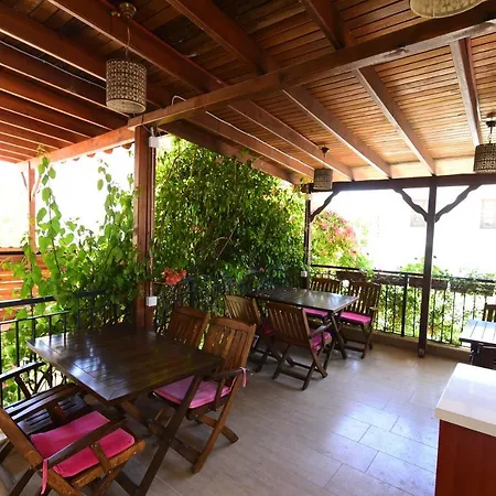 Eleni 塞费里希萨尔