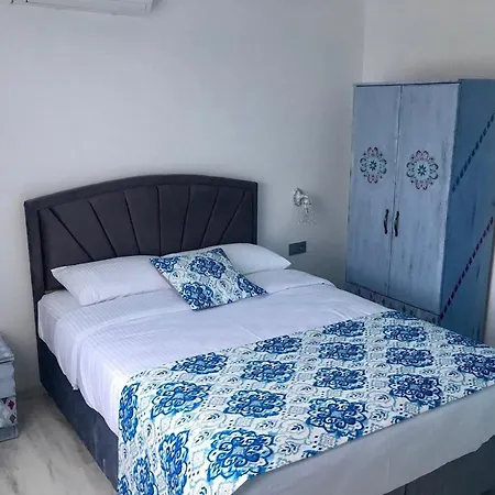 Eleni 塞费里希萨尔