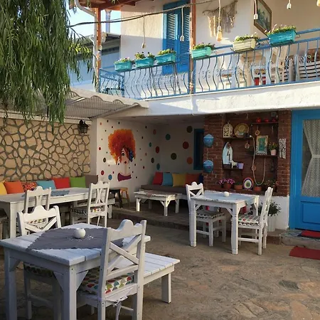 Eleni 塞费里希萨尔