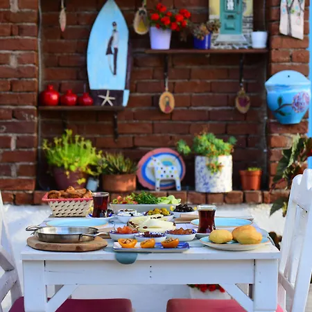 Eleni 塞费里希萨尔