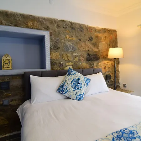 Eleni 塞费里希萨尔