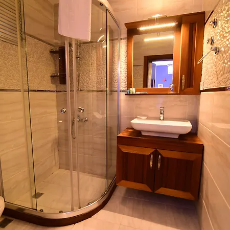 Eleni 塞费里希萨尔