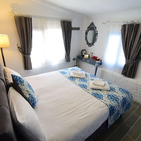 Eleni 塞费里希萨尔